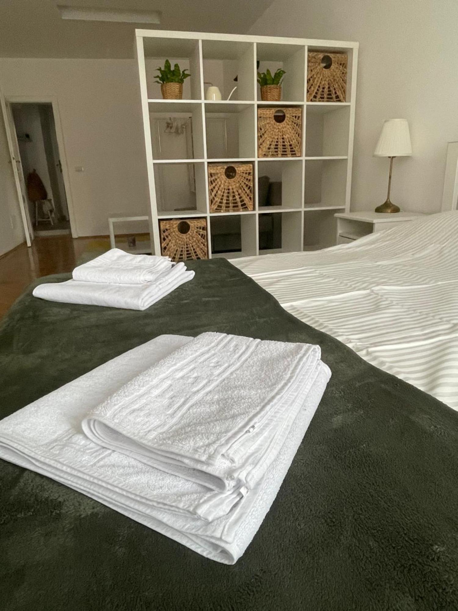 Cozy Stay Μπρασόβ Εξωτερικό φωτογραφία